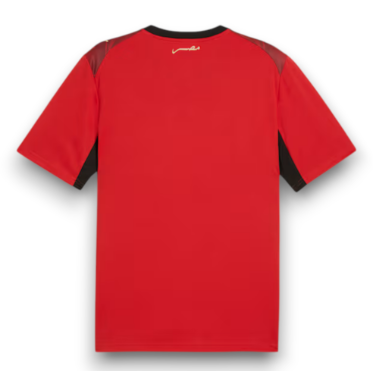 Egypt 2026 Adult Home Jersey – Size S–XXL – Custom Name & Number, Select Badges