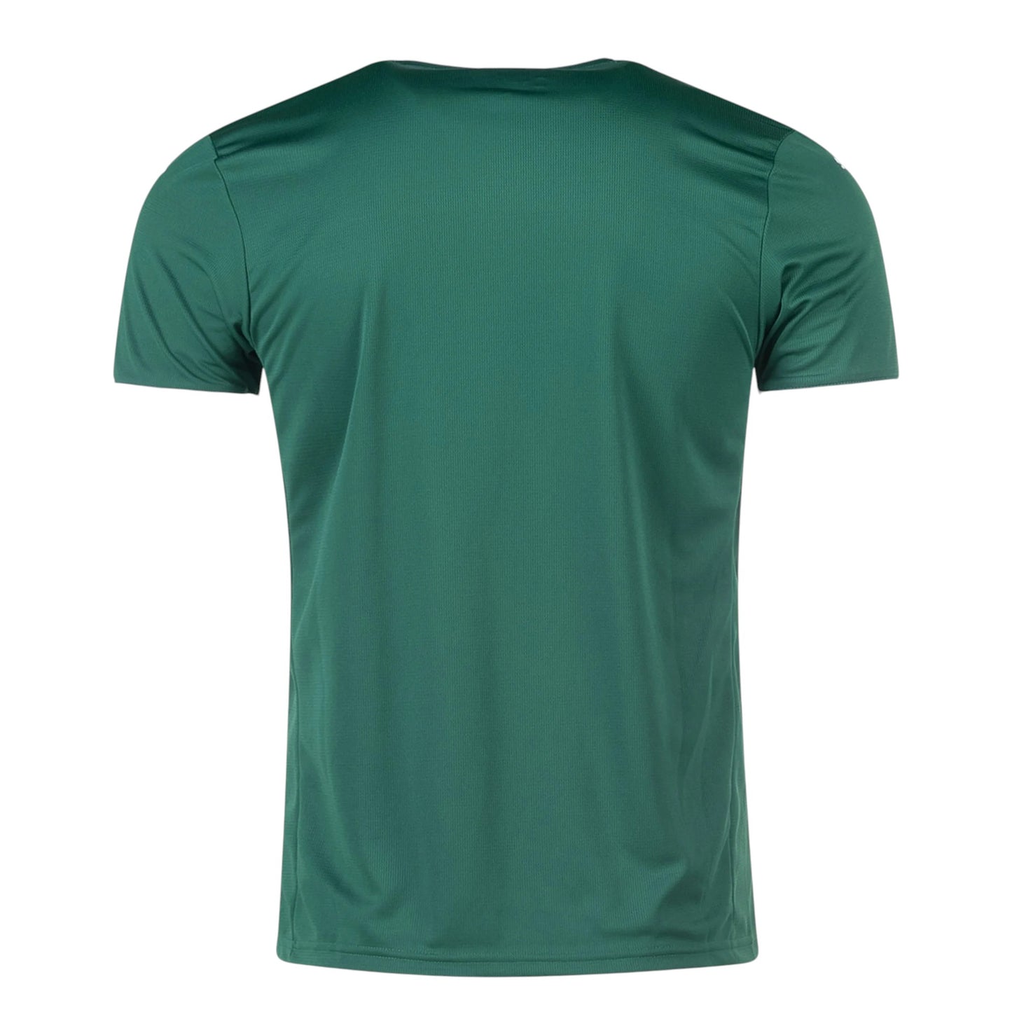GOATkitz Palmeiras 2025-26 adult home jersey in green with white collar and cuffs. Fan version, customizable.