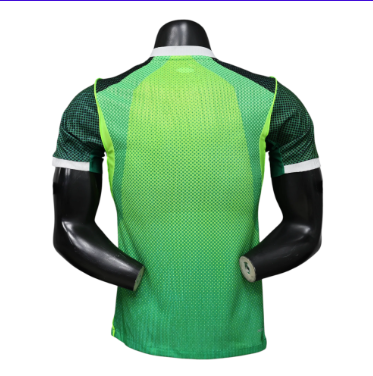 Nigeria 2026 Player Version Home Jersey – Size S–XXL – Custom Name & Number, Select Badges