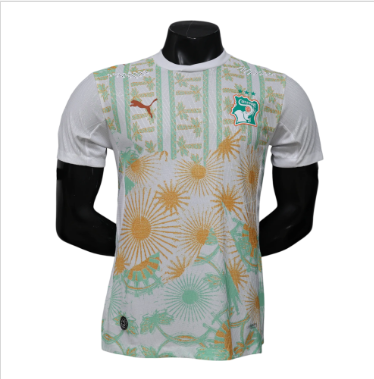 Ivory Coast 2026 Player Version Home Jersey – Size S–XXL – Custom Name & Number, Select Badges