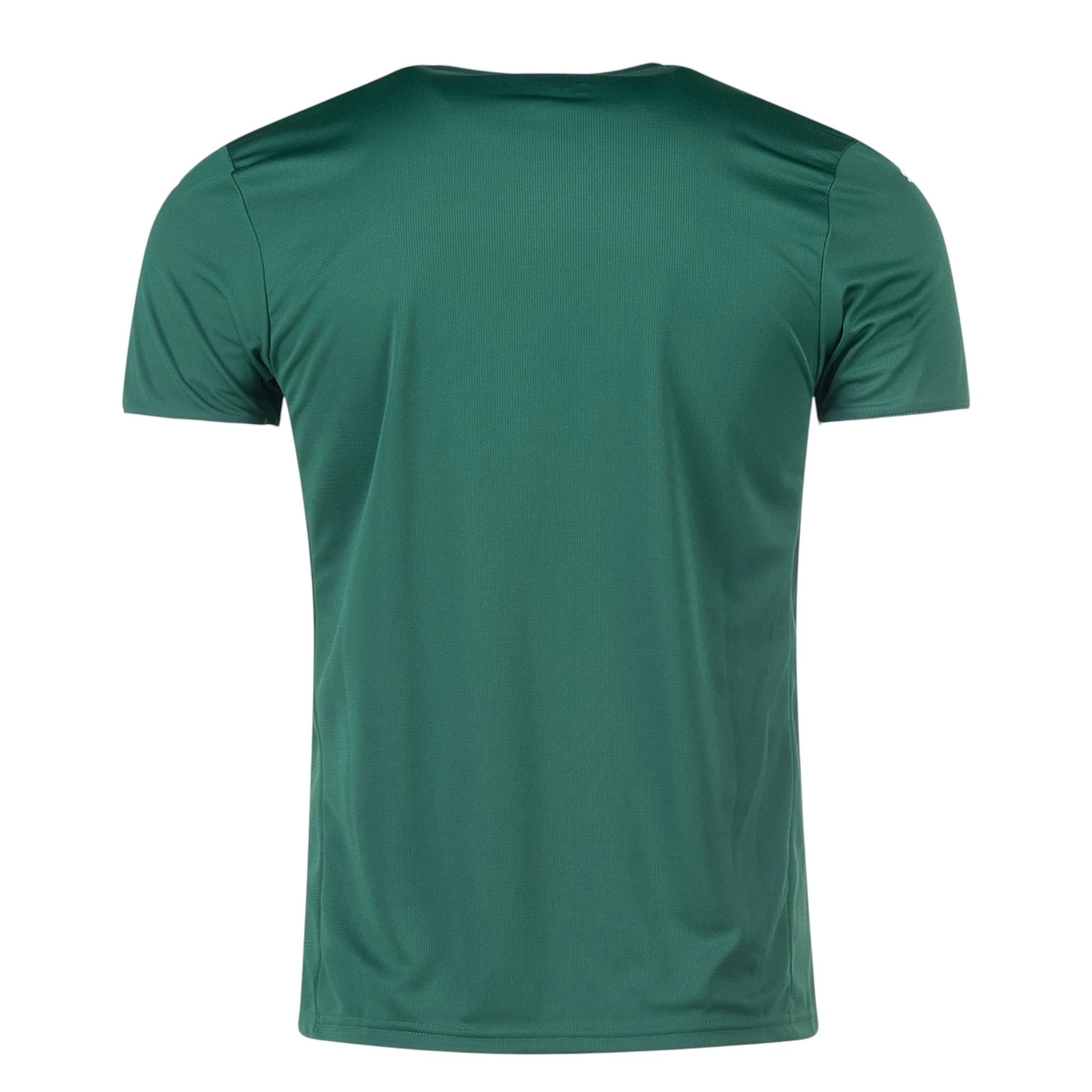 GOATkitz Palmeiras 2025-26 adult home jersey in green with white collar and cuffs. Fan version, customizable.